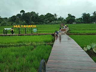 CIharashas Mulyaharja