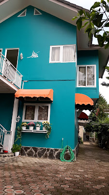 Homestay Green House