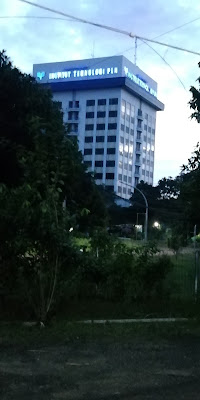 Palm Kost