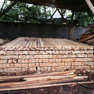 Perusahaan Kayu U.D. Jasa Rimba