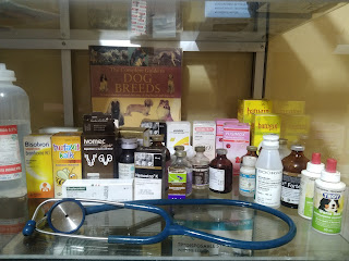 Petshop Chelsea & Klinik Hewan
