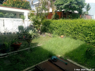 SPD JASA POTONG RUMPUT TAMAN