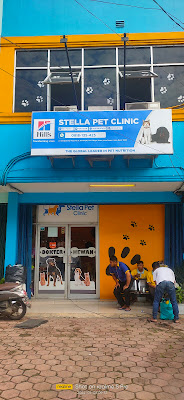 Stella Pet Clinic