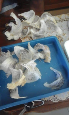 Warung Makan "Suka Sari"